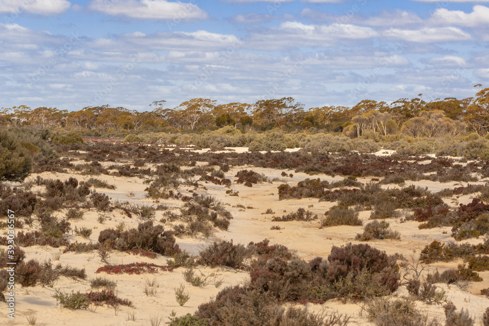 Landscape on the shores of Lake Johnston, Norseman, Western Australia