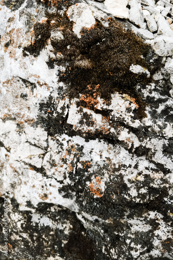 Rock texture background. Stone overgrown green, yellow and black moss. Close-up. Selective focus Rock texture background. Stone overgrown green, yellow and black moss. Close-up. Selective focus