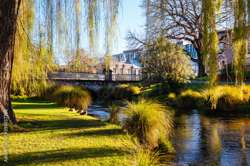 River Avon Views in Christchurch New Zealand photo