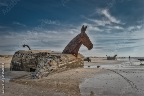Bunker Mules horses on Blaavand Beach, North Sea coast, Denmark © Frankix