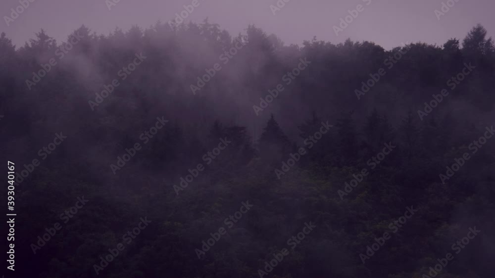 Fog in the forest. View of morning landscape covered in mist. 4K resolution nature shot. High quality sound of rain. Moody atmosphere cinematic color grading visuals. Fog in the forest. View of morning landscape covered in mist. 4K resolution nature shot. High quality sound of rain. Moody atmosphere cinematic color grading visuals.