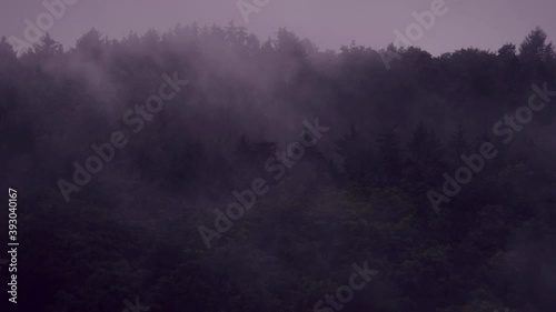 Fog in the forest. View of morning landscape covered in mist. 4K resolution nature shot. High quality sound of rain. Moody atmosphere cinematic color grading visuals.