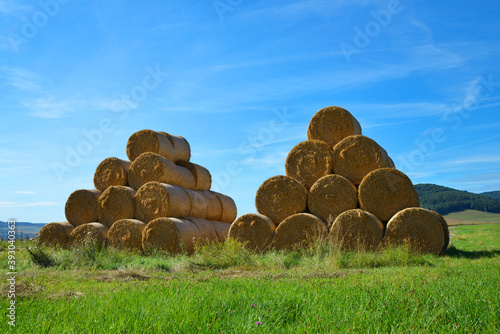 Straw bales on farmland with blue sky. Rural landscape.