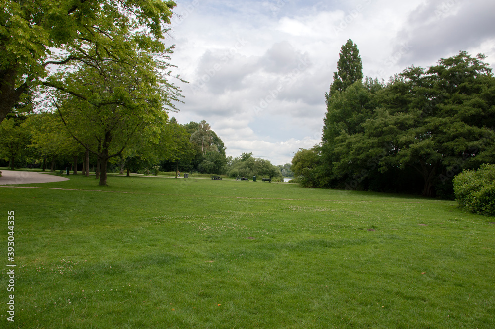 Green Grass At The Flevopark At Amsterdam The Netherlands 18-6-2020