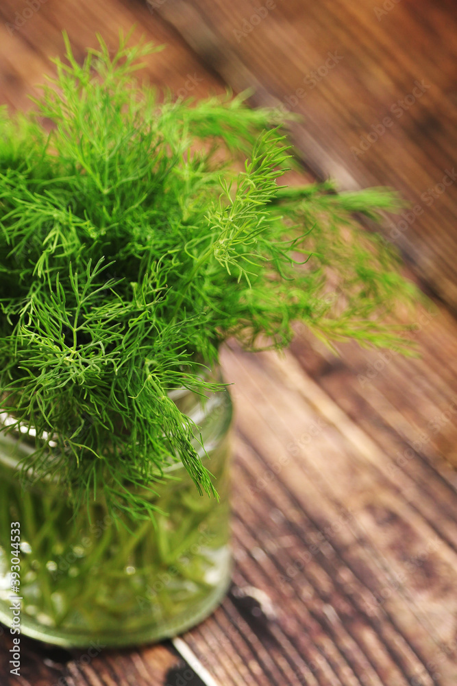 Fototapeta premium A bunch of fresh green dill