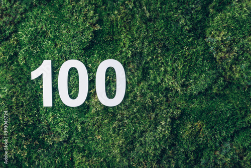 Green grass, digit one hundred. Birthday greeting card with inscription 100. Anniversary concept. Top view. White numeral on eco moss background. Numerical digit, Celebration event, template, flyer