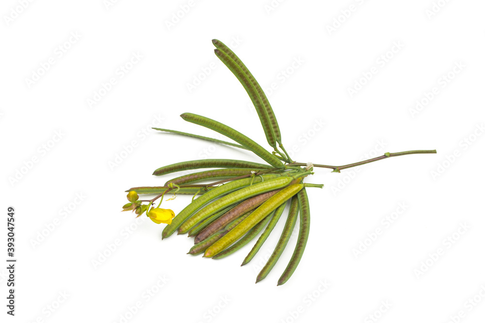 Fototapeta premium Senna occidentalis(Coffea senna, Coffeeweed)seed on white background.