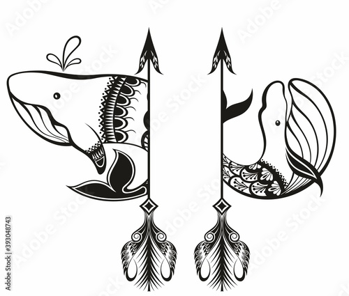 Sea life, whales with arrows