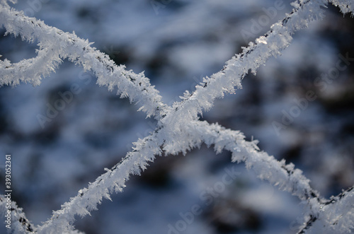frosty metal mesh closeup, frost © Никита Богачев