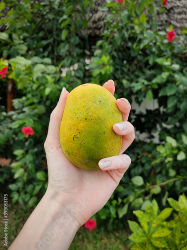 Mango in hand