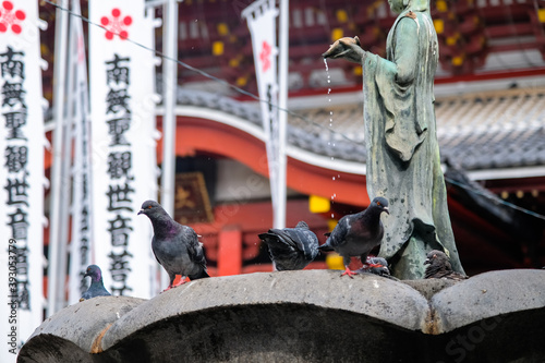 Wallpaper Mural 名古屋市 大須観音 浄水に集まる鳩 Torontodigital.ca