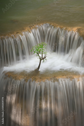 A small tree in the flowing waterfall. Taken picture at Huai Mae Khamin Waterfall in Kanchanaburi Province in Thailand. Survival concept.