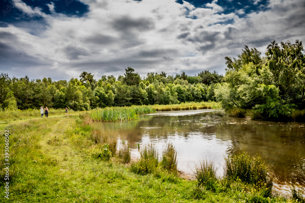 Fototapeta premium Nature Reserve Country Park