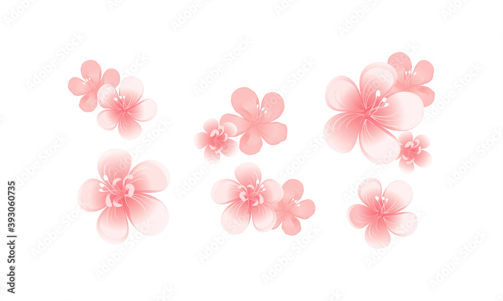 Fototapeta premium Flying pink peach flowers isolated on white background. Apple-tree flowers. Cherry blossom. Border. Horizontal. Vector