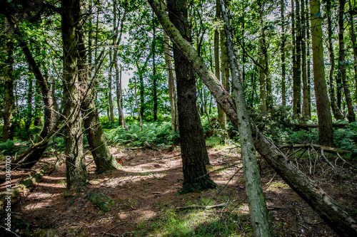 Nature Reserve Country Park