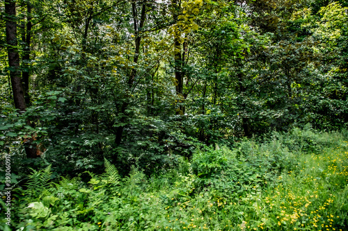 Nature Reserve Country Park