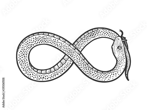 snake in form of infinity sign biting its own tail sketch engraving vector illustration. T-shirt apparel print design. Scratch board imitation. Black and white hand drawn image.