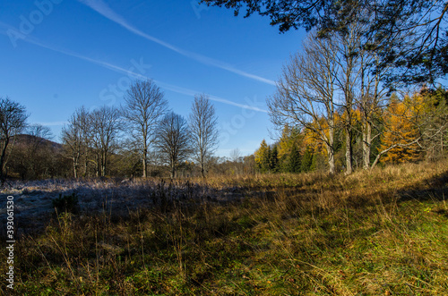 Fototapeta Naklejka Na Ścianę i Meble -  Bieszczady panorama 
