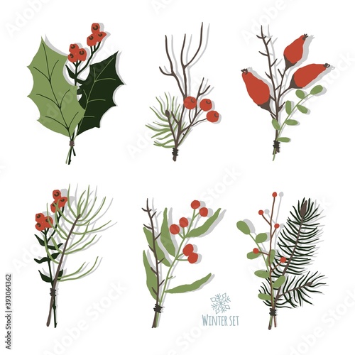 Set of winter floral decoration element with pine, leaves, berries and spruce. Hand drawn style.