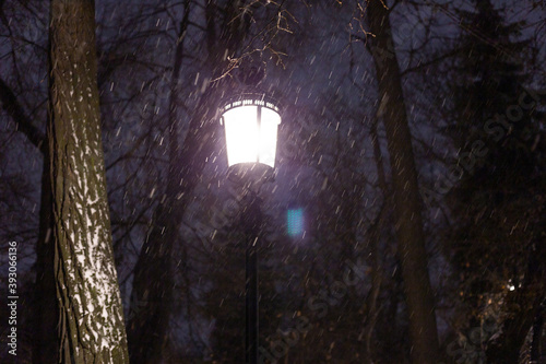 Lantern shines lonely in the winter garden