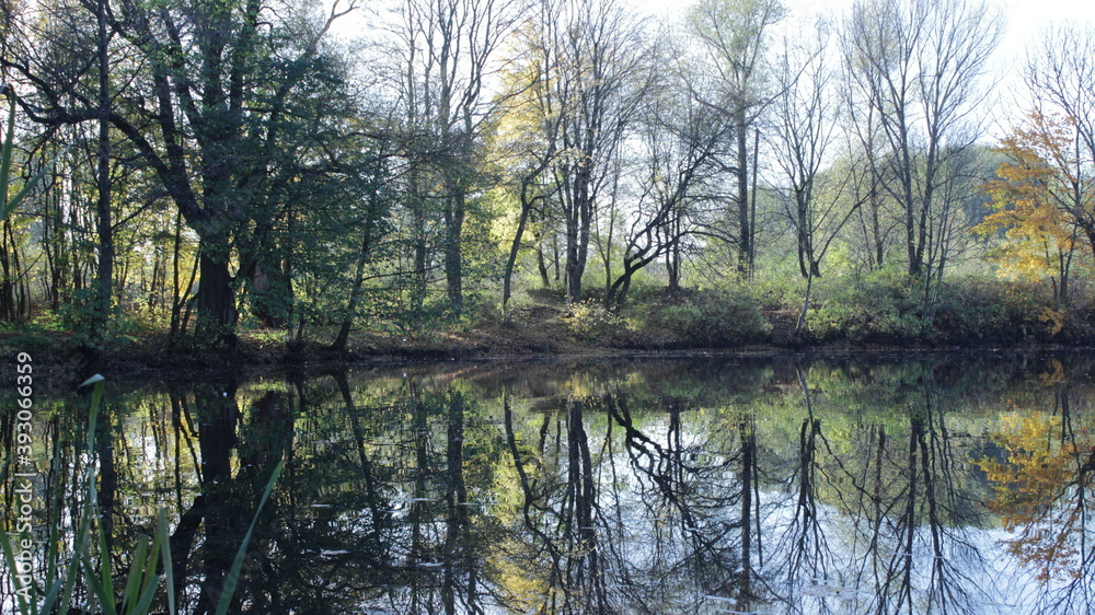 Obraz premium morning on the river