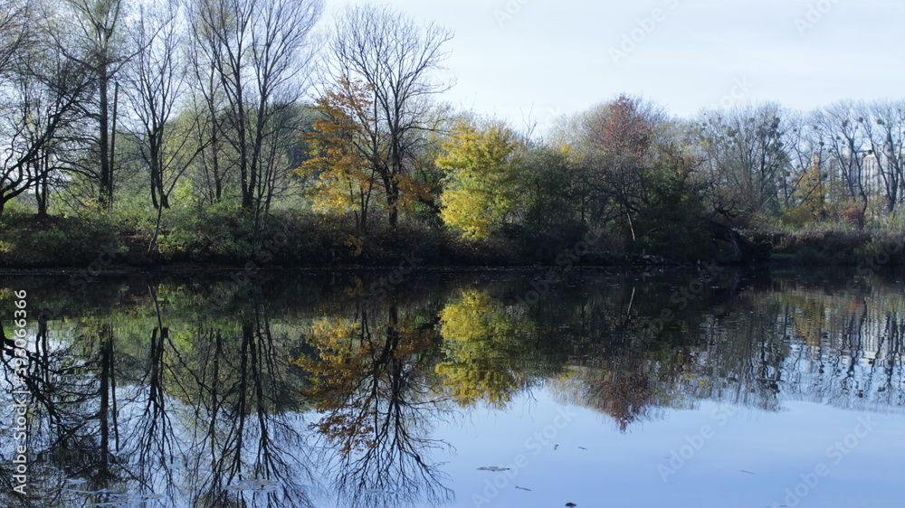 autumn in the park