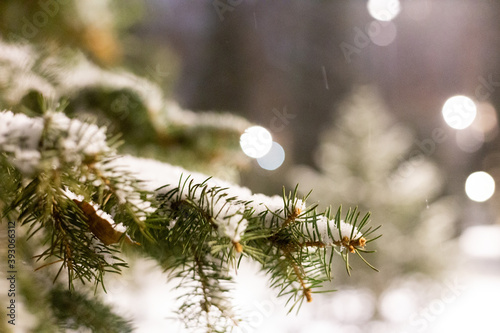 The first snow fell to the ground