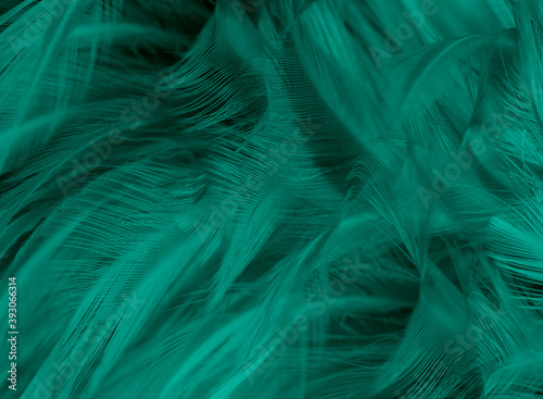 Beautiful dark green vintage color trends feather texture background