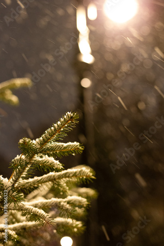 The first snow fell to the ground