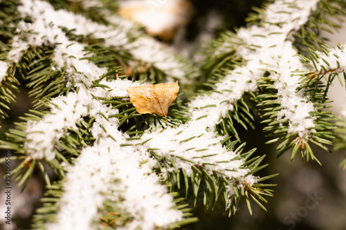 The first snow fell to the ground