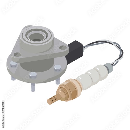 Car equipment icon. Isometric illustration of car equipment vector icon for web
