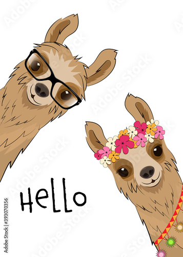 Two cute Alpaca llamas on a white background. Vector