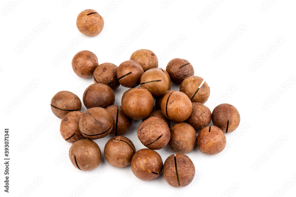 macadam nuts with clipping path on a white isolated background macadam nuts with clipping path on a white isolated background
