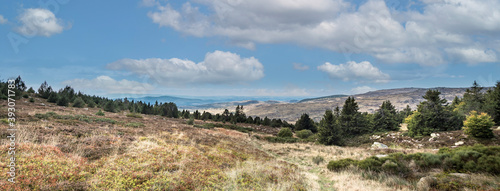 PANORAMA OF THE MOUNTAINS