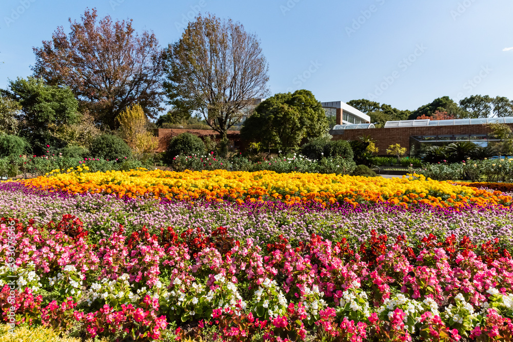 福岡市植物園の花壇と温室のある風景