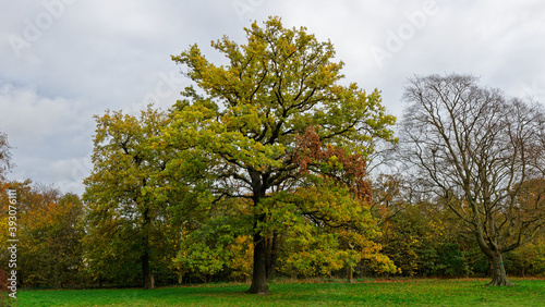 Bois de Vincennes during fall season