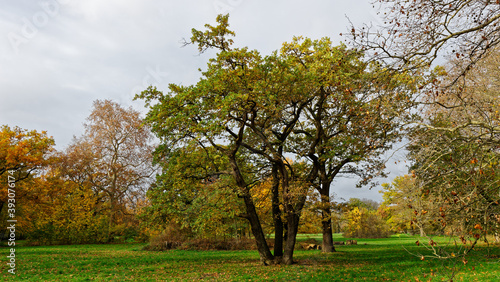 Bois de Vincennes during fall season