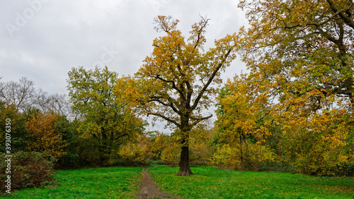 Bois de Vincennes during fall season