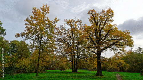 Bois de Vincennes during fall season © John Paul Cornilson