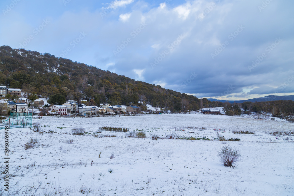village covered with snow