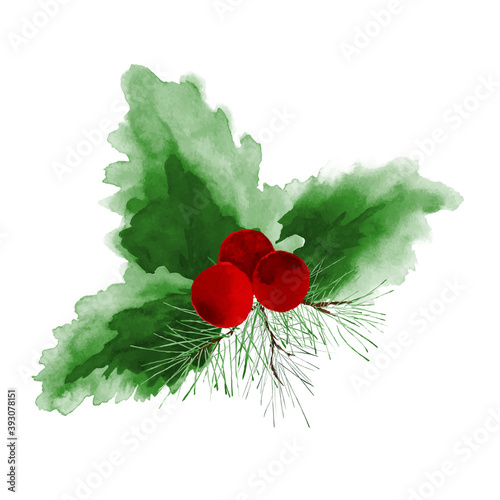 Holly and pine leaves watercolor hand-painted on white background