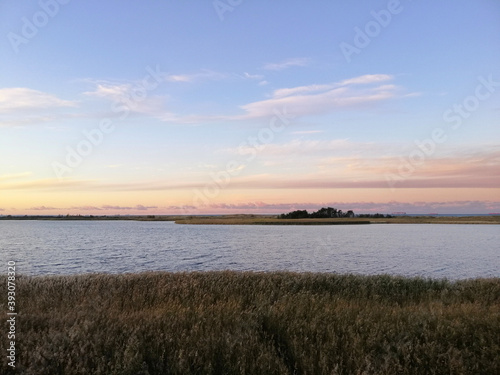 Landscape view of the grassland near the shore of Wyspa Sobieszewsk in Gdansk, Poland photo