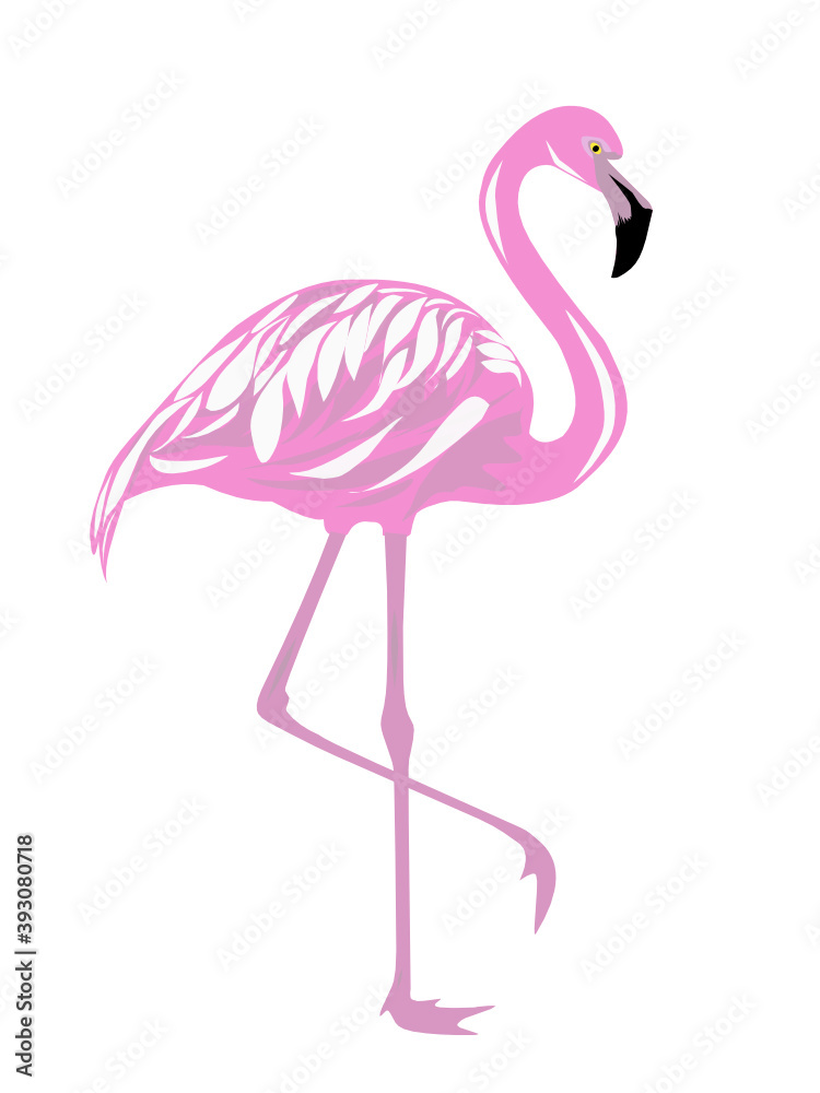 Pink flamingo. Exotic tropical bird. Zoo animal collection. Cute cartoon character. Decoration element. Flat design. White background. Isolated