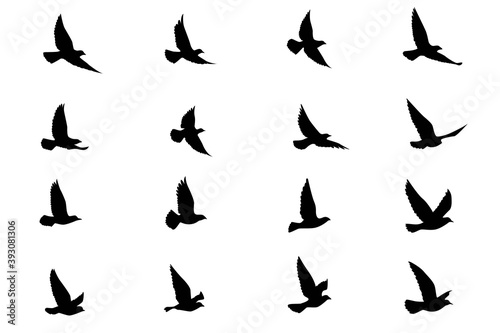 Flying birds silhouettes on isolated background. Vector illustration. isolated bird flying. tattoo and wallpaper background design.