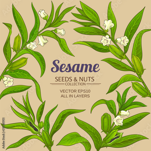 sesame vector frame