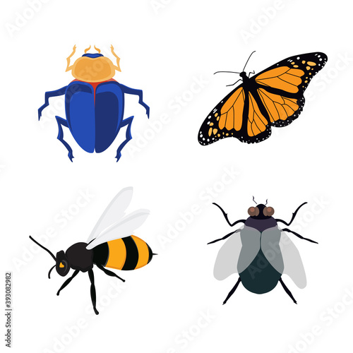 Insect icon flat set, collection. Bee, fly, butterfly and scarab. Vector © viktorijareut