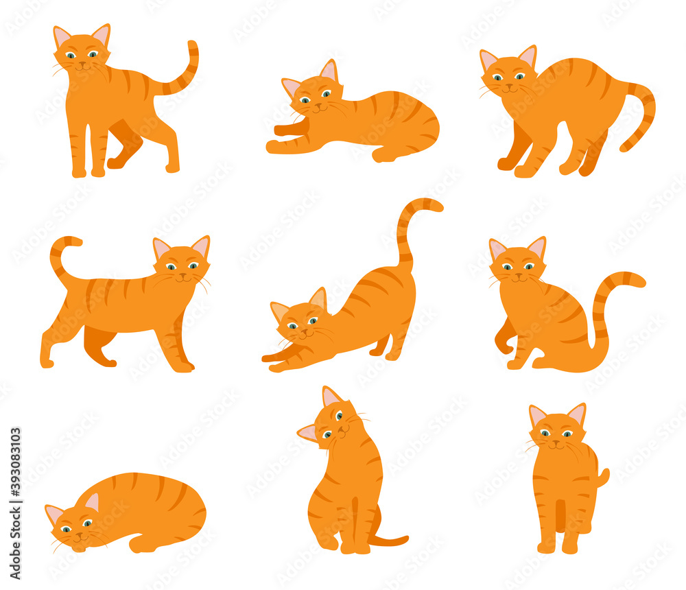 Fototapeta Cartoon cat set with different poses and emotions. Cat behavior and body language. Ginger kitty in simple style, isolated vector illustration.