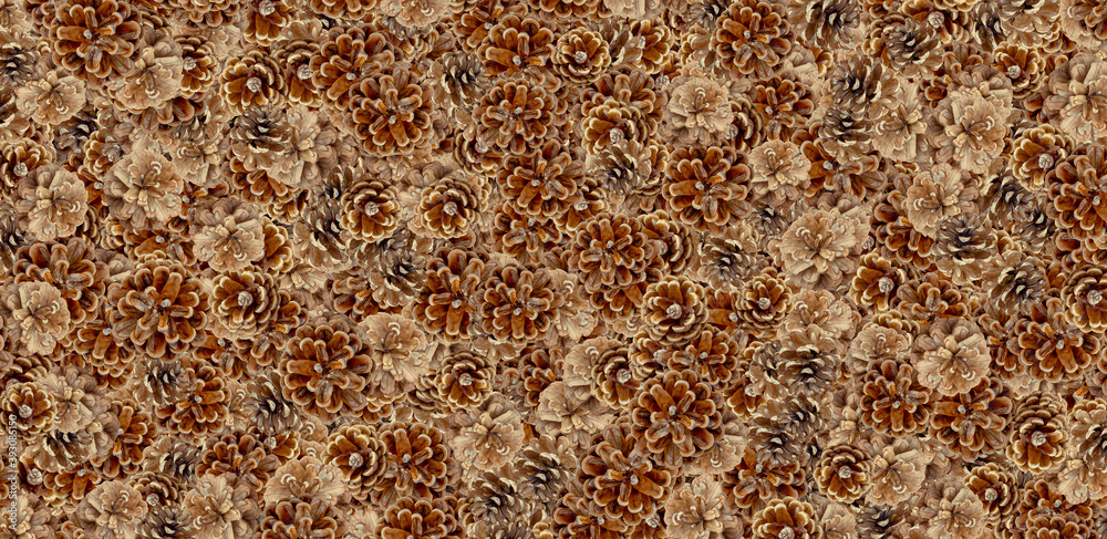top viewe pine cones background top viewe pine cones background