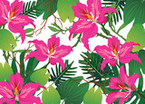 Bauhinia purpurea Linn and green leaves seamless pattern white background. Exotic fabric wallpaper illustration
