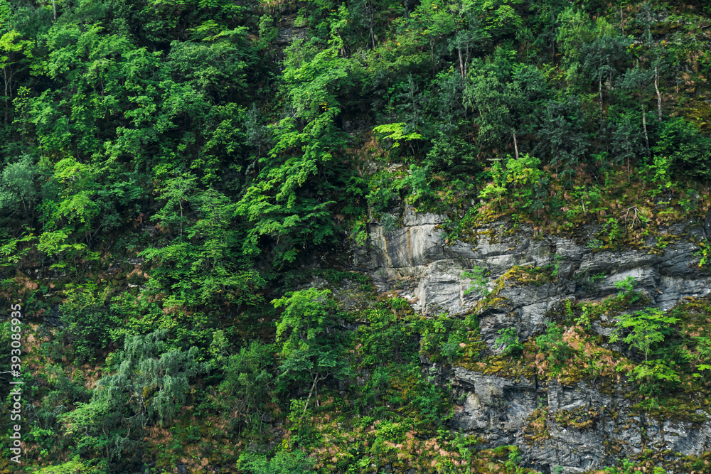 mountainside, covered with vegetation and rocks
mountainside, covered with vegetation and rocks